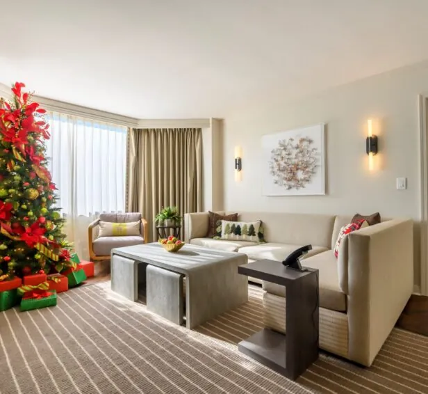 Holiday Suite Package